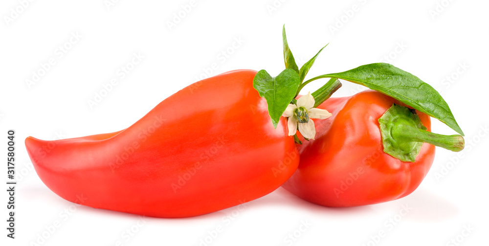 Sweet pepper on white background Sweet pepper on white background