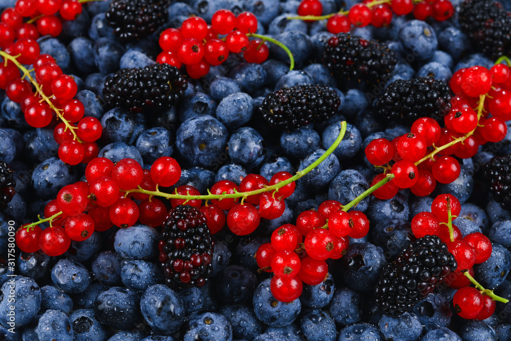 Blackberry, raspberry, blueberry, red currant and mint background. Blackberry, raspberry, blueberry, red currant and mint background.