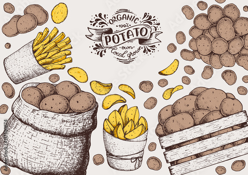 Potato vector illustration. Box and bag of potatoes. French fries, rustic potatoes and chips hand drawn. Engraved style illustration. Packaging design.