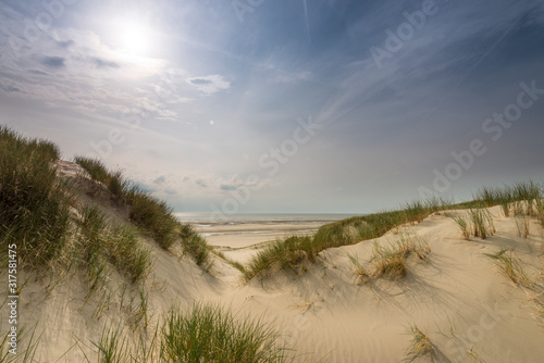 Fototapeta Naklejka Na Ścianę i Meble -  Les dunes à Fort-Mahon le long de la plage