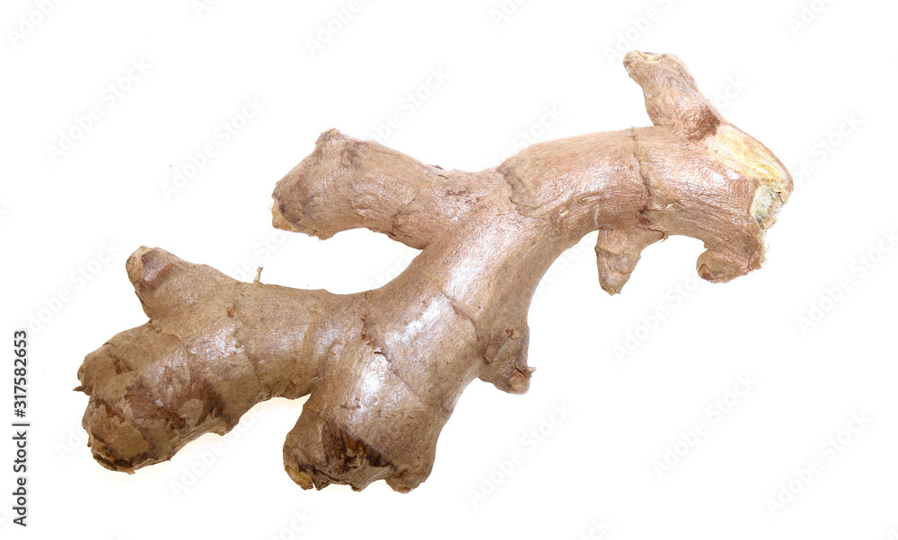 fresh ginger isolated on white background fresh ginger isolated on white background
