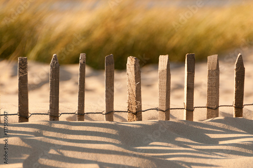 Fototapeta Naklejka Na Ścianę i Meble -  Barrière en bois ensablée destinée à fixer les dunes