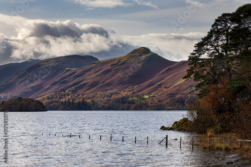 Картината върху платно Catbells from Friars Crag