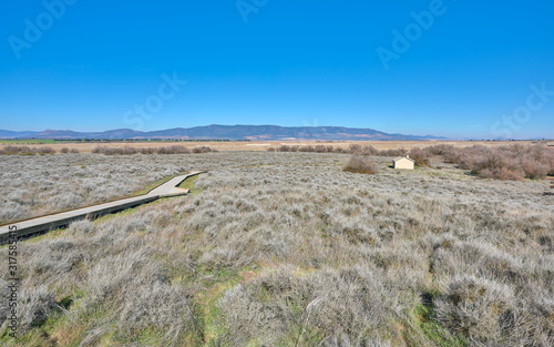 Landscape view of Las Tablas de Daimiel National Park during a winter time of drought, Ciudad Real province, Castilla la Mancha, Spain
