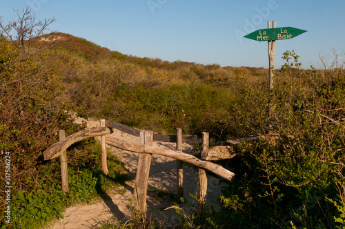 Le sentier des pêcheurs, à la pointe de Routhiauville, à l'embouchure de la Baie d'Authie photo