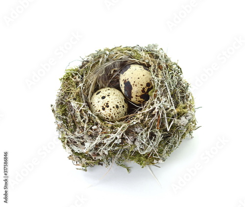 Quail eggs in a straw nest