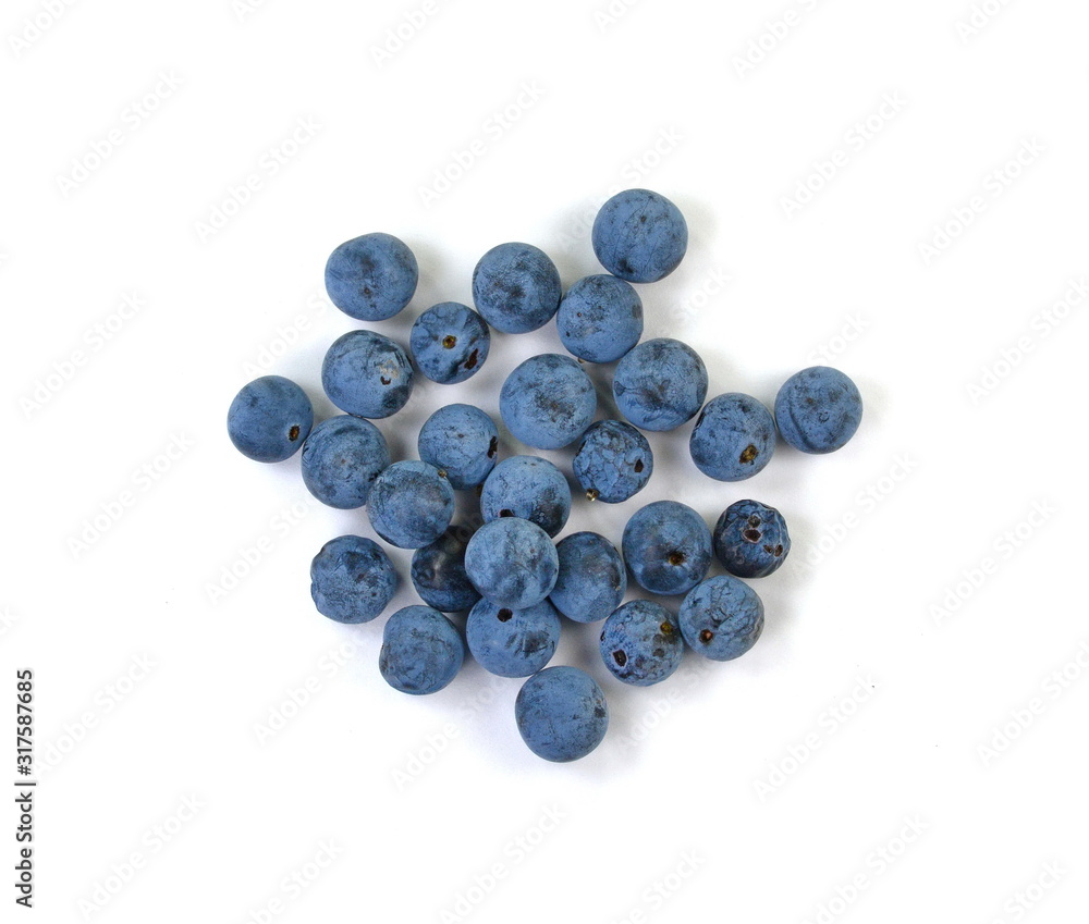 Prunus spinosa (blackthorn; sloe) scattered berries isolated on white background. Prunus spinosa is a large deciduous shrub or small tree. Prunus spinosa (blackthorn; sloe) scattered berries isolated on white background. Prunus spinosa is a large deciduous shrub or small tree.