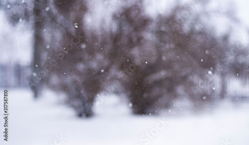 snoeflakes blizzard in Russia