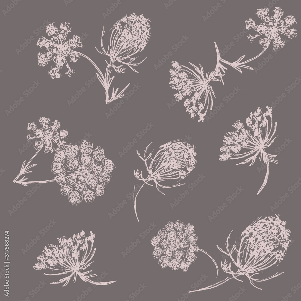 Seamless gray background. Inflorescences of dill. Seamless gray background. Inflorescences of dill.