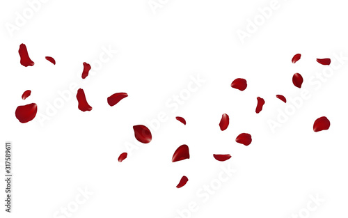 Falling red rose petals seasonal confetti, blossom elements flying isolated. Abstract floral background with beauty roses petal. design for greeting cards on March 8, Women Day, Valentine's Day.