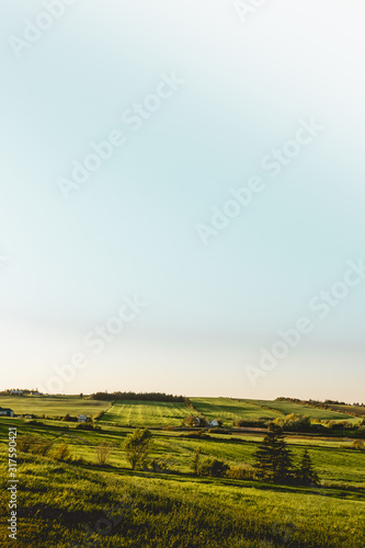 landscape with green fields and rolling hills