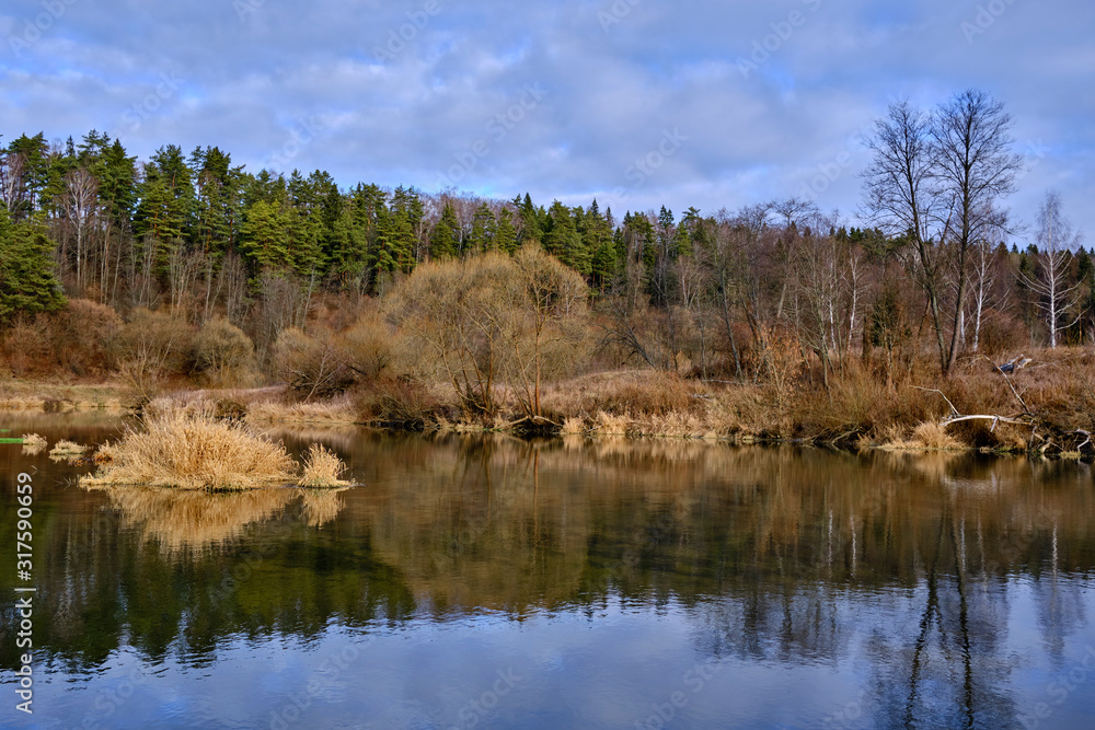 Autumn landscape.  Forest river in late autumn on the shore of which grow shrubs, and pine trees.