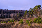 Autumn forest landscape.Small and large pines on the slope on a cloudy autumn day.