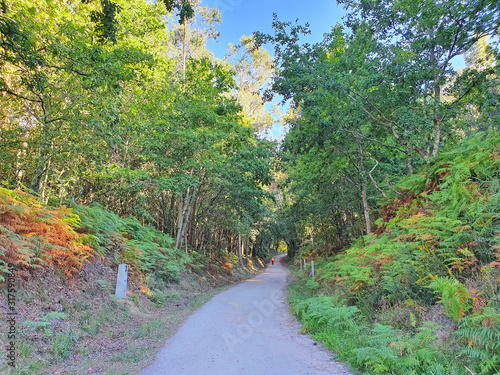 Pilgrim on Portuguese Camino de Santiago