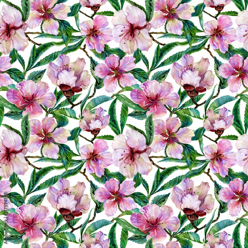 Fototapeta Naklejka Na Ścianę i Meble -  BBeautiful peach tree twigs in bloom on white background. Lilac flowers and green leaves. Spring blossom. Seamless floral pattern. Watercolor painting. Hand drawn illustration.