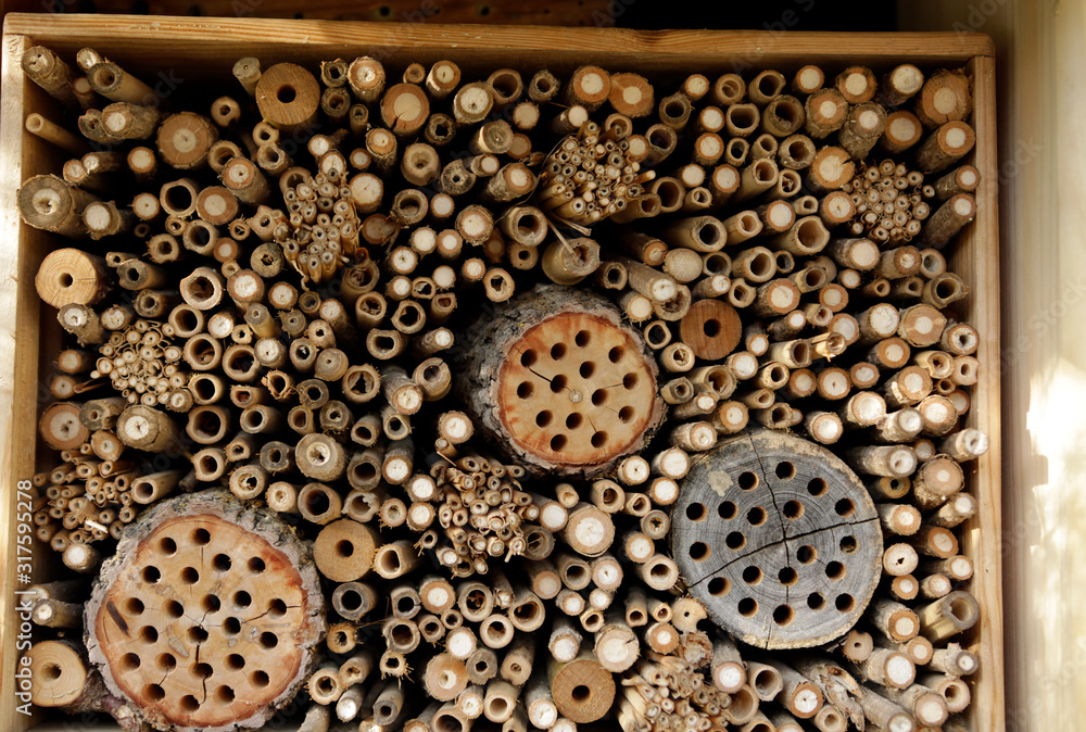 Insect house for bees and other animals. Wooden tunnels holes and pipes ...