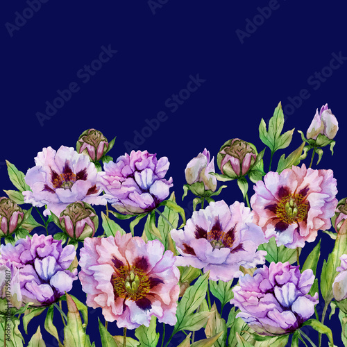 Beautiful peony flowers with green leaves on deep blue background. Seamless f...