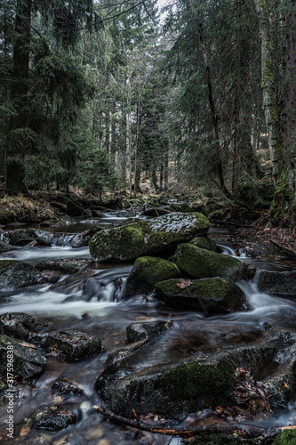 der Bachlauf im Harz