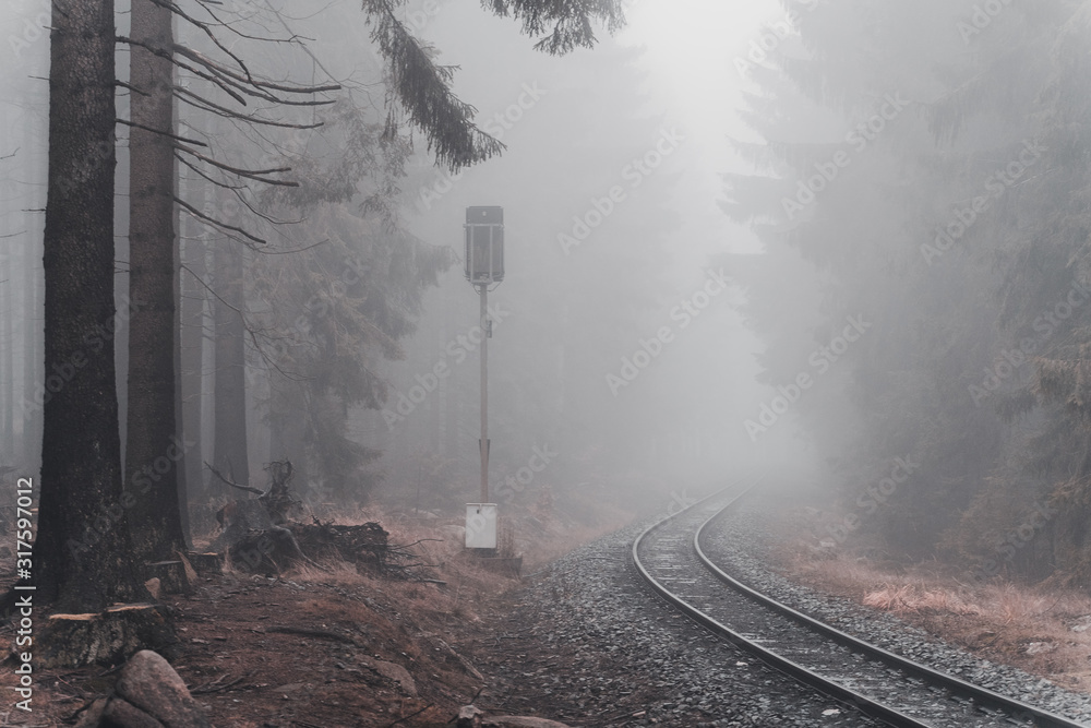 Bahnschinen im Nebel
