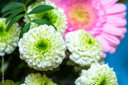 beautiful chrysanthemum flower bouquet decoration macro image photo