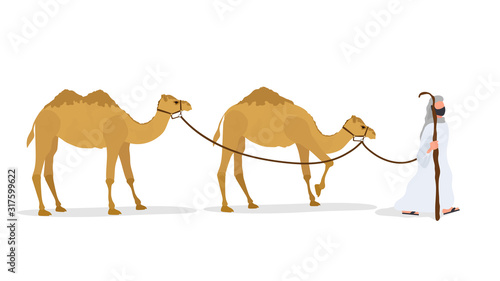 Camel caravan isolated on white background. A shepherd leads a camel. Vector.