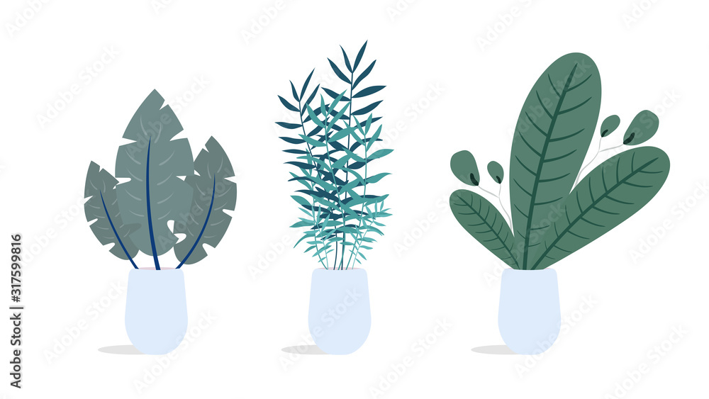 Set of indoor plants. Vector illustration