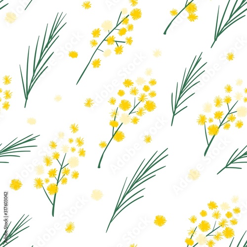 Seamless pattern with mimosa flowers and leaves.Elegant floral decorations. Vector illustration. Vector botanical floral background.