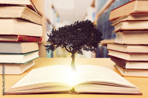Stack of old books and tree, education concept