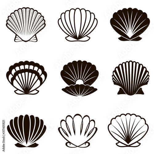 Photo monochrome collection of various seashells isolated on white background