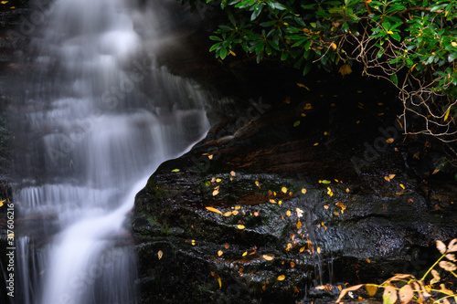 Refreshing Waterfall Hidden Deep in the Autumn Forest