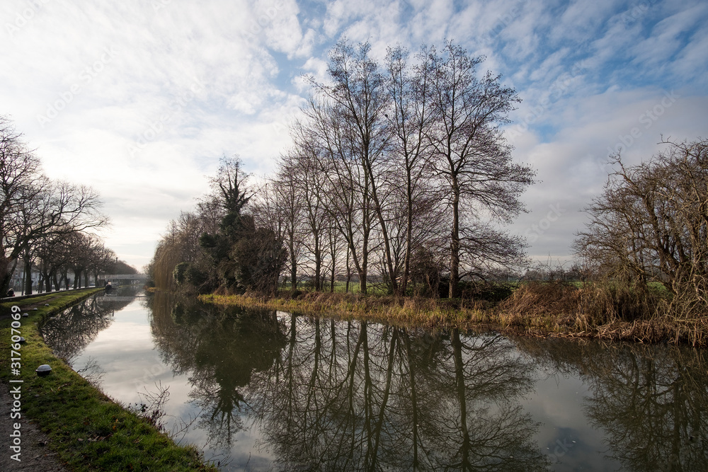 Bare trees reflected in still canal water Bare trees reflected in still canal water