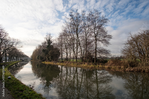 Fototapeta Naklejka Na Ścianę i Meble -  Bare trees reflected in still canal water
