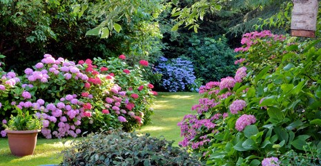 Keuken achterwand Tuin Hortensia's in Bretonse siertuin  © aquaphoto