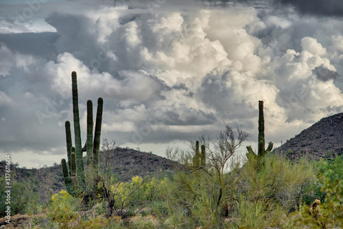 White Tank Mountain State Park Near Phoenix Arizona © KRoberts