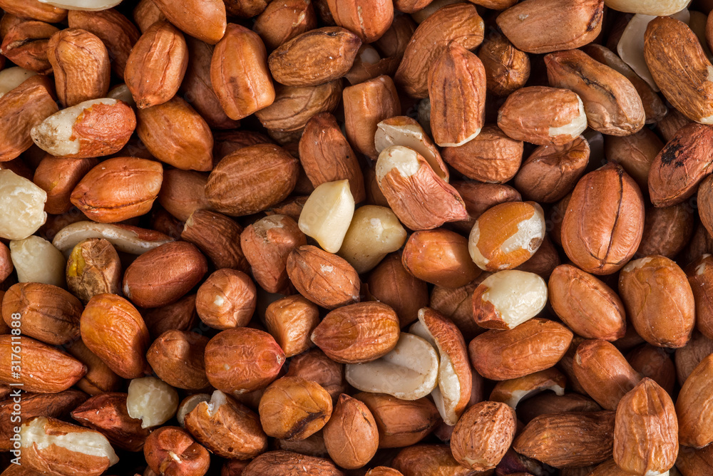 Close-up of pealed peanuts / groundnuts / goobers / monkey nuts without shells as winter bird food for garden birds Close-up of pealed peanuts / groundnuts / goobers / monkey nuts without shells as winter bird food for garden birds