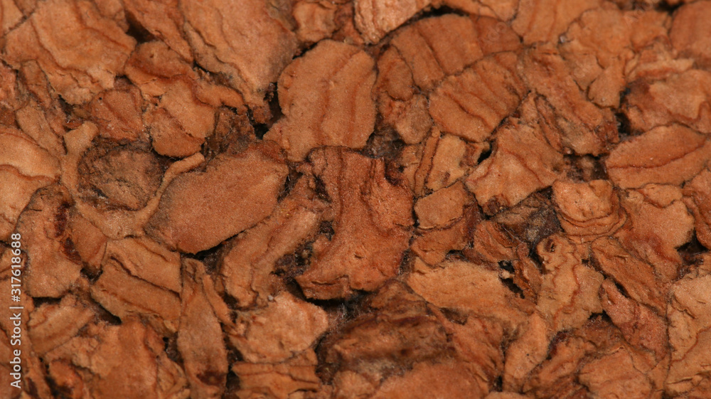 texture of cork