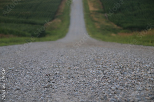 Wallpaper Mural gravel road Torontodigital.ca