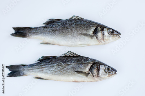 Raw sea bass with spices and herbs on a white slate table. Fresh sea bass.