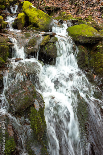 Small Forest Waterfall