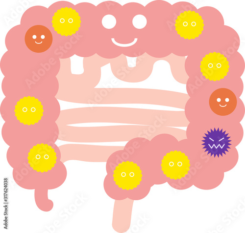バランスのいい腸内フローラのイラスト