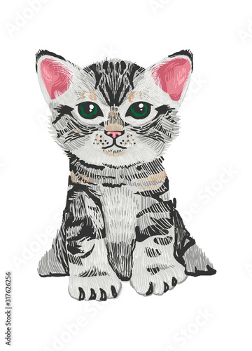 Very cute small cat kitten
