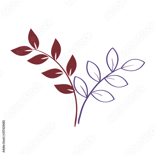 branches with leafs nature isolated icon