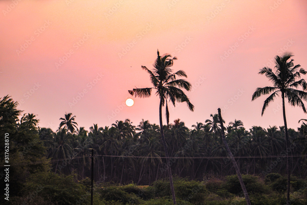 Beautiful Sunset & Sunrise