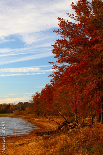 autumn on the beach