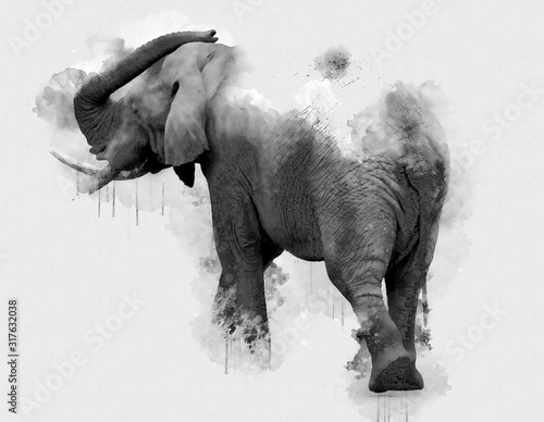 malowany-portret-slonia