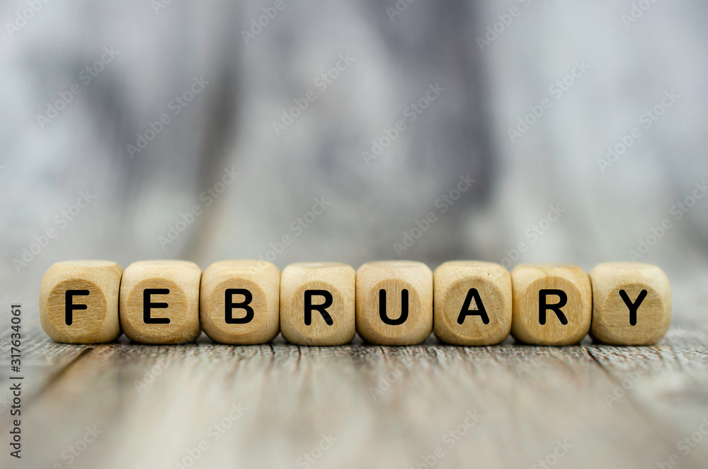 The word February on wooden cubes. Month of year - obrazy, fototapety, plakaty 