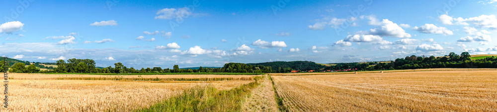 Beautiful wide Meadows in Summer Beautiful wide Meadows in Summer