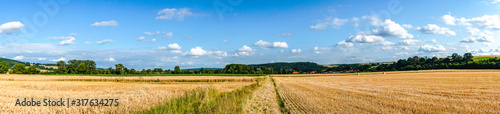 Fotografie Beautiful wide Meadows in Summer