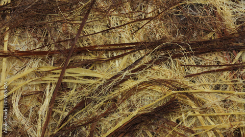 和紙のテクスチャー素材