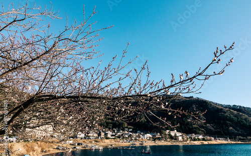 Wallpaper Mural Lake scenery of Kawaguchiko, Japan Torontodigital.ca
